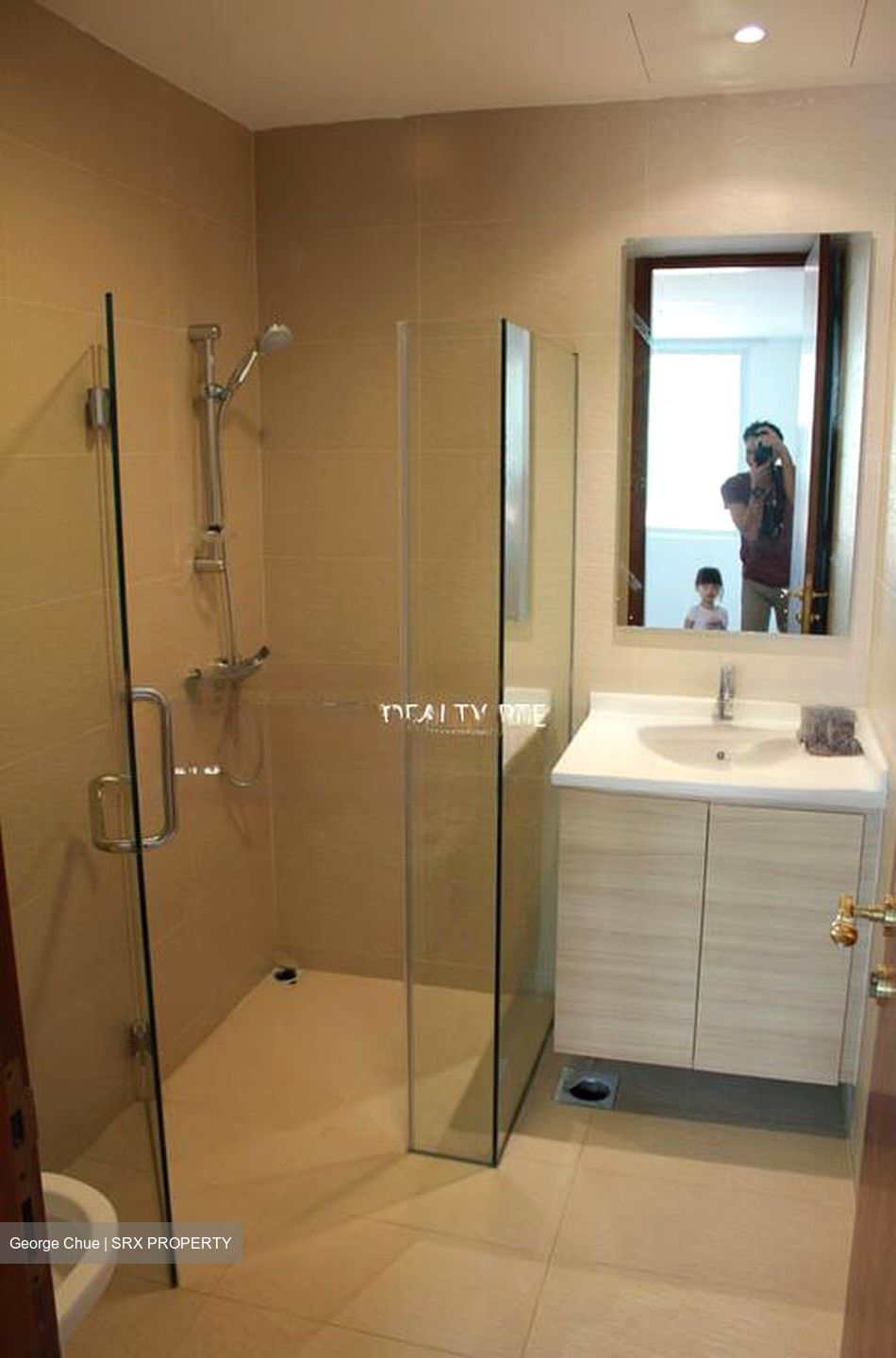 Duchess Crest (D10), Condominium #497355971